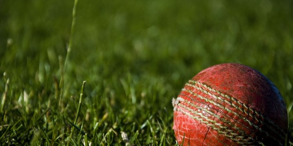 世界杯举办城市场馆介绍与旅游指南图片